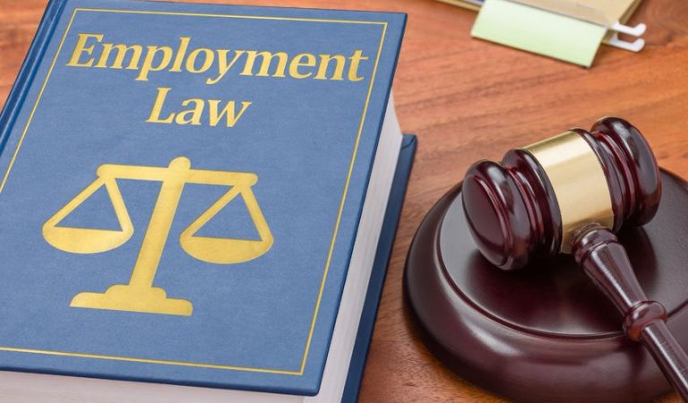 71709032 - a law book with a gavel - employment law